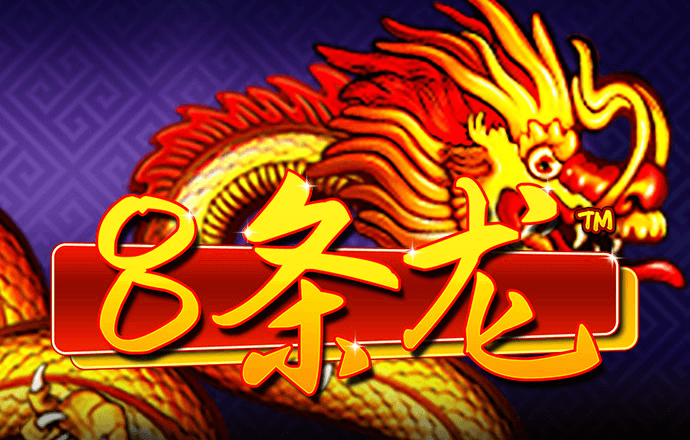 1382cm太阳贵宾